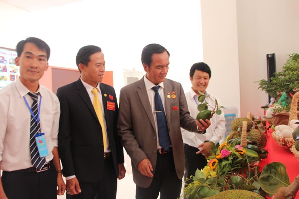 Bí thư Huyện ủy Cư Kuin Lê Thái Dũng (thứ hai từ phải sang) tham quan gian hàng giới thiệu các sản phẩm nông nghiệp trên địa bàn huyện.