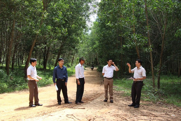 Bí thư Huyện ủy Krông Pắc Trần Hồng Tiến (bìa phải) đi thực địa tại điểm đề nghị xây dựng cảng cạn ở xã Tân Tiến.