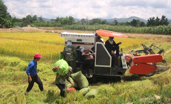 Nông dân huyện Krông Bông đưa cơ giới hóa vào sản xuất nông nghiệp.