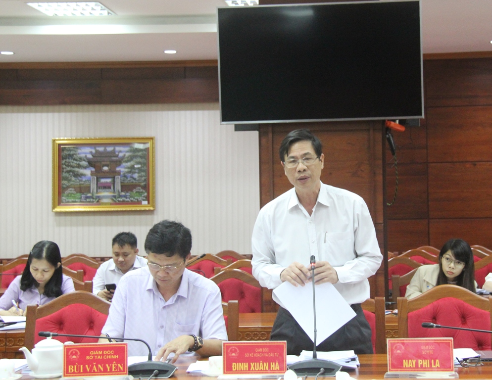 Giám đốc Sở Kế hoạch và Đầu tư Đinh Xuân hà phát biểu ý kiến tại cuộc họp