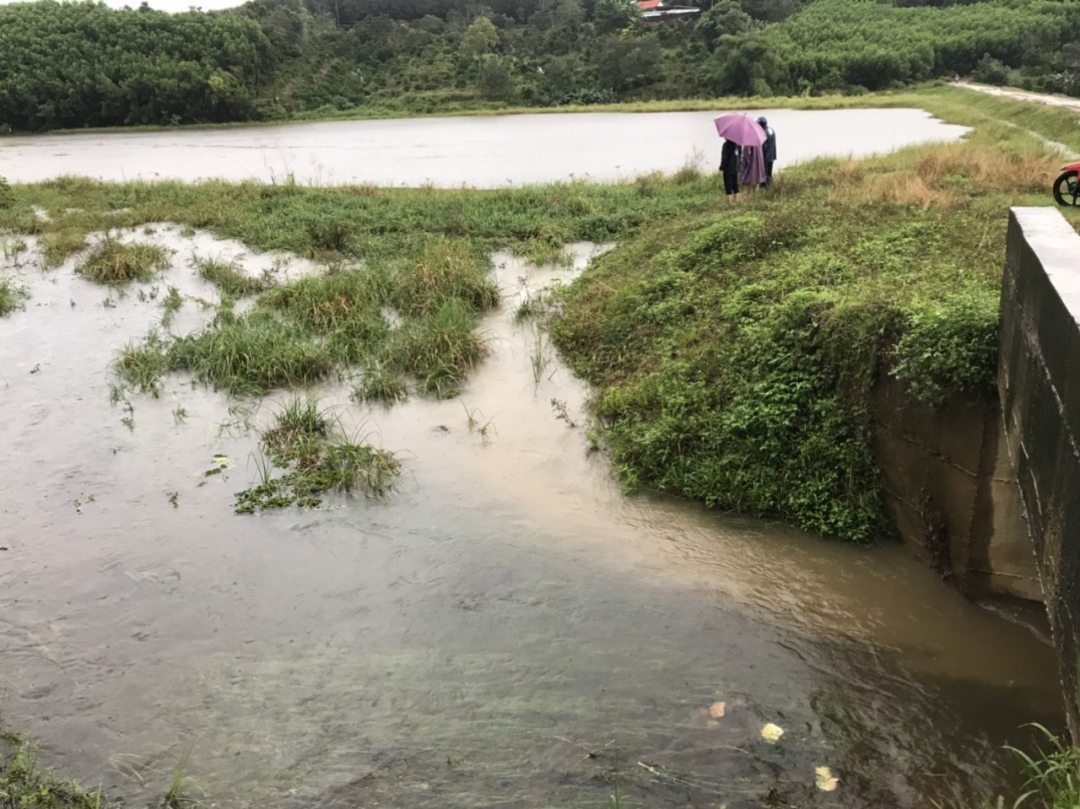 Cán bộ Ban Phòng chống thiên tai và tìm kiếm cứu nạn huyện M’Drắk kiểm tra thực tế mực nước tại các công trình thủy lợi.