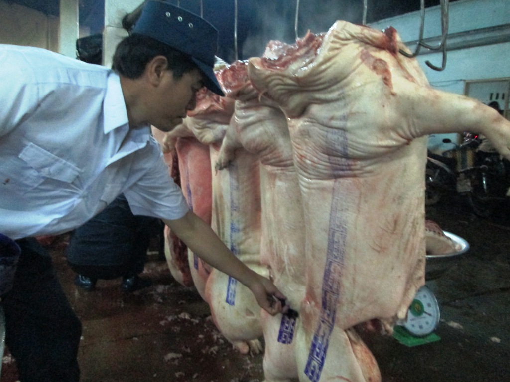 Cán bộ thú y đóng dấu kiểm dịch gia súc tại một cơ sở giết mổ gia súc tập trung trên địa bàn TP. Buôn Ma Thuột