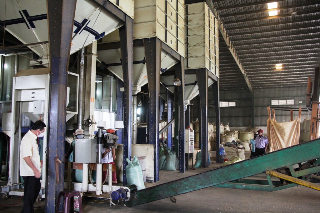 Một cơ sở chế biến cà phê trong Khu công nghiệp Hòa Phú