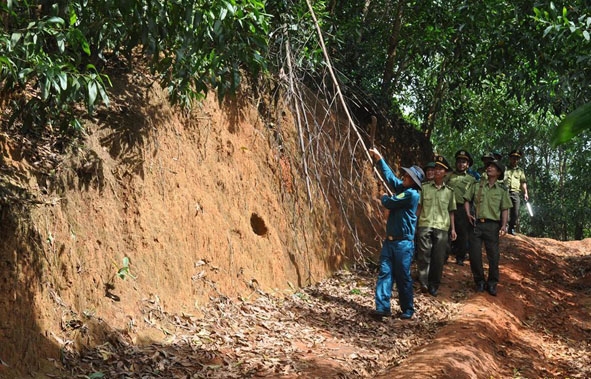 Lực lượng kiểm lâm huyện Ea H'leo tuần tra rừng đầu mùa khô