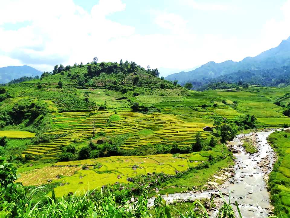 Độc đáo ruộng bậc thang Mường Tè.  