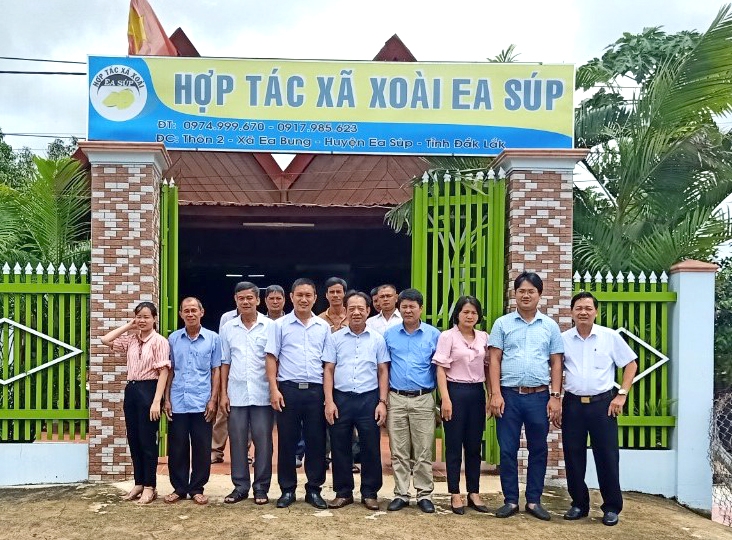 Bí thư Đảng ủy xã Ea Bung Lê Hồng Hạnh (hàng đầu, thứ tư từ trái sang)  thăm Hợp tác xã xoài Ea Súp - (Ảnh: Nhân vật cung cấp)