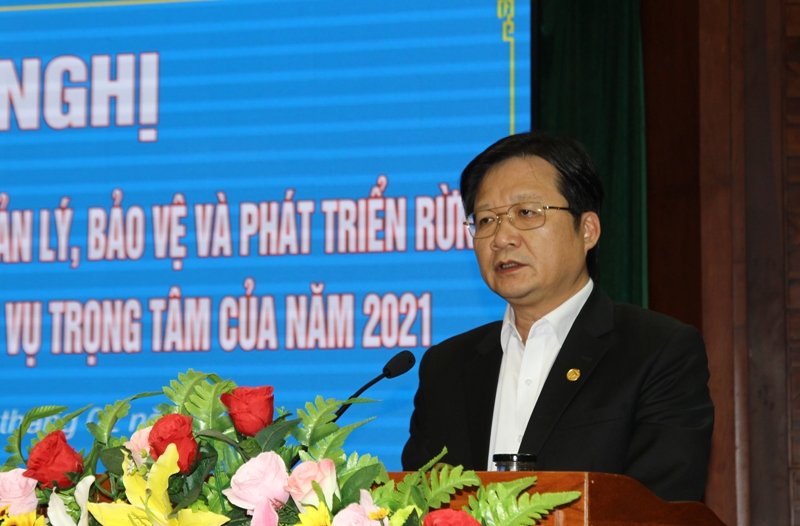 Ủy viên Ban Thường vụ Tỉnh ủy, Giám đốc Sở NN-PTNT Nguyễn Hoài Dương phát biểu tại hội nghị