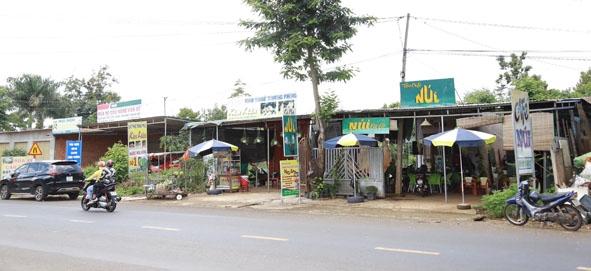 Nhiều hàng quán dọc Quốc lộ 27 đoạn qua xã Ea Tiêu, huyện Cư Kuin xây dựng trên đất thuộc quản lý của các công ty cà phê. 
