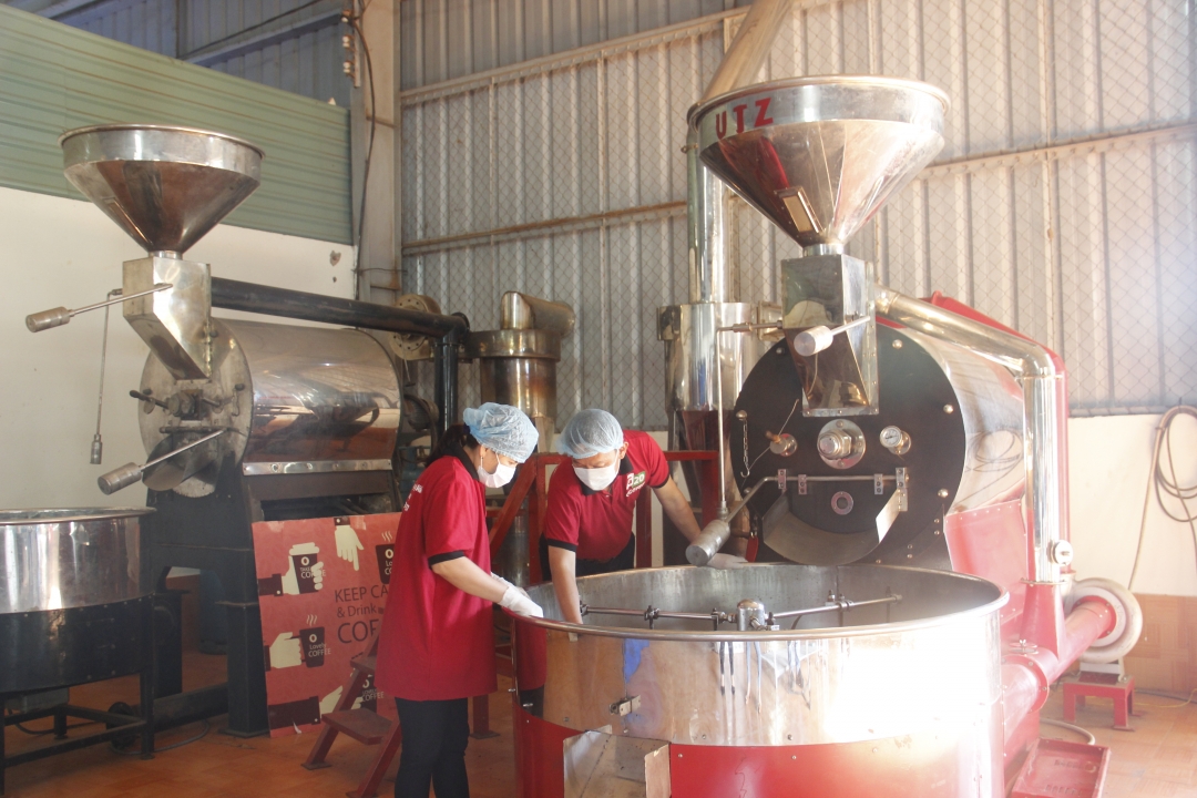 Sản xuất cà phê tại Công ty TNHH G20 Coffee G20 Việt Nam. 