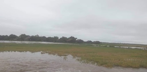 Lúa của người dân xã Ea, huyện Ea Súp bị đổ do mưa dông và lốc xoáy ngày 21-4