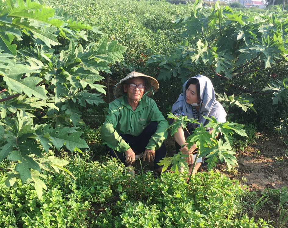 Chị Nguyễn Thị Xuân Hương thường xuyên xuống ruộng chia sẻ với nông dân cách làm nông nghiệp sạch. (Ảnh: Nhân vật cung cấp)