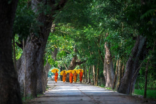 Đường vào chùa “hàng còng”.