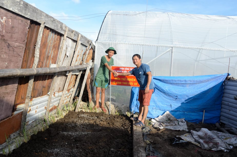 Anh Ngô Đức Thọ (bên phải) trong chuyến công tác mang cỏ vetiver ra trồng ở đảo Song Tử Tây.  Ảnh: Nhân vật cung cấp