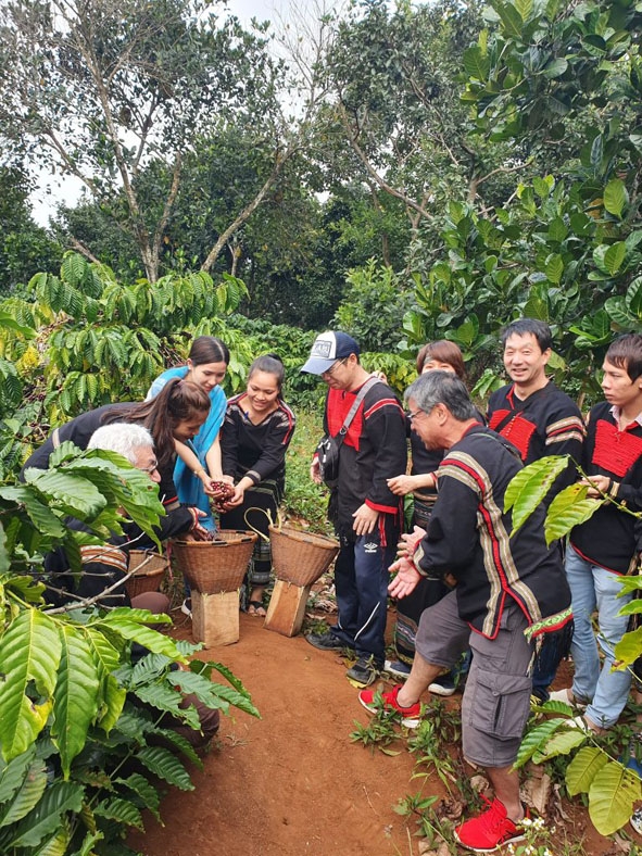 Du khách Nhật Bản đến tham quan, trải nghiệm sản phẩm du lịch cà phê  tại Khu du lịch sinh thái  -  văn hóa cộng đồng Kô Tam (TP. BuônMa Thuột). Ảnh: Phương Đình