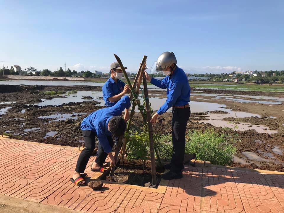 Đoàn viên thanh niên trồng cây xanh tại hồ Tân An, thị trấn Phước An