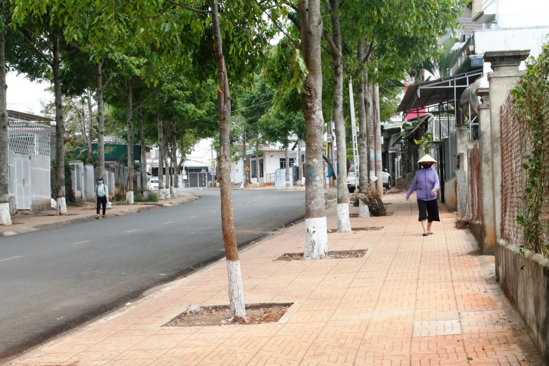 Vỉa hè đường Phạm Văn Đồng được lát gạch khang trang. 