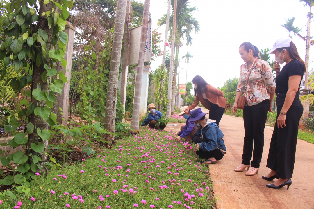 Hội viên phụ nữ thôn 16 (xã Hòa Đông) chăm sóc các tuyến đường hoa.