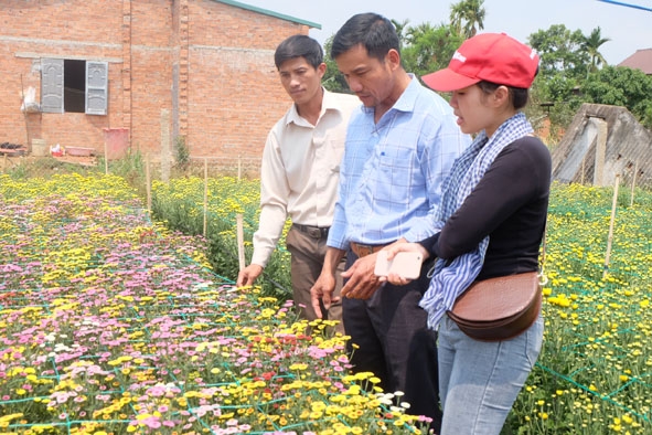 Anh Trần Đình Sang (giữa) giới thiệu về vườn hoa của tổ hợp tác. 