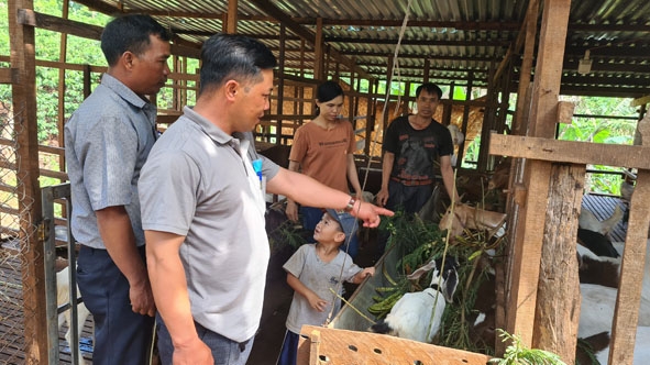 Vợ chồng anh Sâm  và hội viên  Hội  Nông dân xã Ea Hiao trao đổi về kinh nghiệm chăn nuôi. 