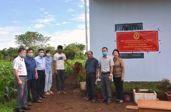 Hội Cựu chiến binh TP. Buôn Ma Thuột trao bò hỗ trợ phát triển sản xuất cho hội viên Y Hoang Byă  (Chi hội buôn Buôr, xã Hòa Xuân). 