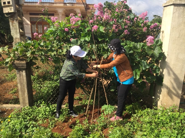 Cán bộ, hội viên phụ nữ tham gia trồng cây xanh trên các tuyến đường ở xã Bình Thuận. 